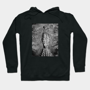 Life Relic Hoodie